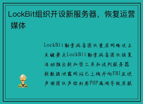 LockBit组织开设新服务器，恢复运营 媒体