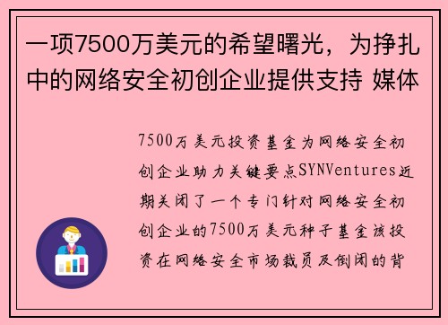 一项7500万美元的希望曙光，为挣扎中的网络安全初创企业提供支持 媒体
